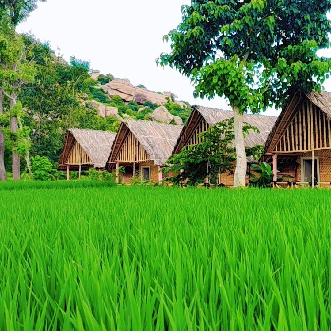 Om Shanti Om Home Stay & Cafe Хампи Екстериор снимка